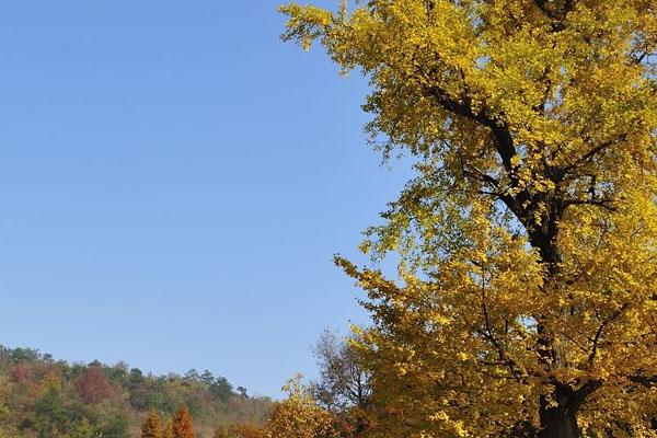 夏天去葉縣旅游必備物品？你帶了什么？