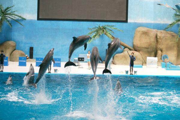 南陽有哪些寺廟_南陽有哪些寺廟求孩子的功效_南陽有哪些寺廟求婚姻*精神？