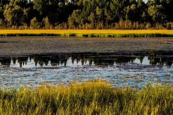 洛陽到麗江旅游指南_行程表_景點(diǎn)推薦