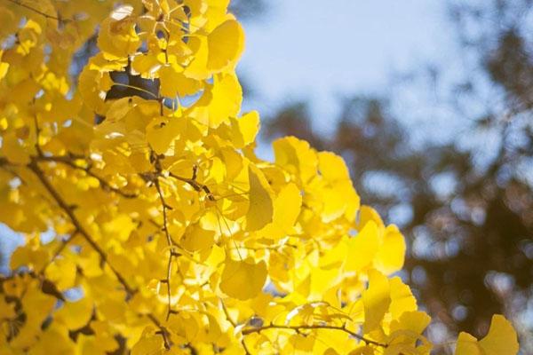 七月漯河穿衣指南_七月漯河景點(diǎn)推薦_七月漯河小貼士