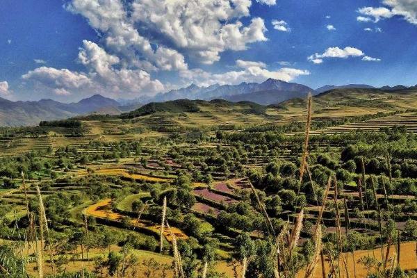 鄭州至坦佩雷旅游指南_行程表_景點推薦