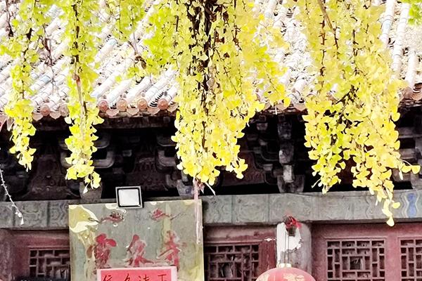 牡丹江值得一游的寺廟_牡丹江*行之有效的寺廟_牡丹江香火寺* *