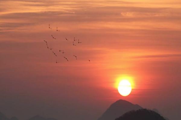 唐山鳳凰購物附近的景點和有趣的地方