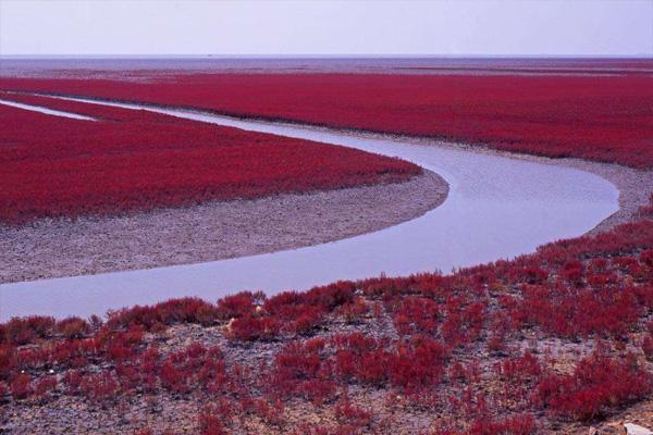 唐山鳳凰購物附近的餐飲場所、餐廳和美食