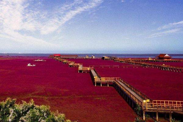 金沙島公路旅行攻略？地址？怎么